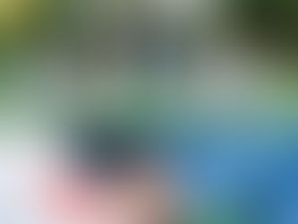 Essential Aspects of a Luxury Wedding