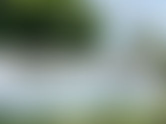 Remembering your loved ones at your wedding – Essential Tips