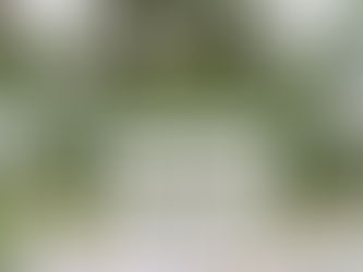 Top 10 the Garden of Samui Attractions for Wedding Guests