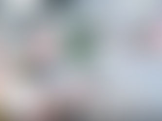 Top Qualities of Wedding Planners Who Organize the Event In Koh Samui