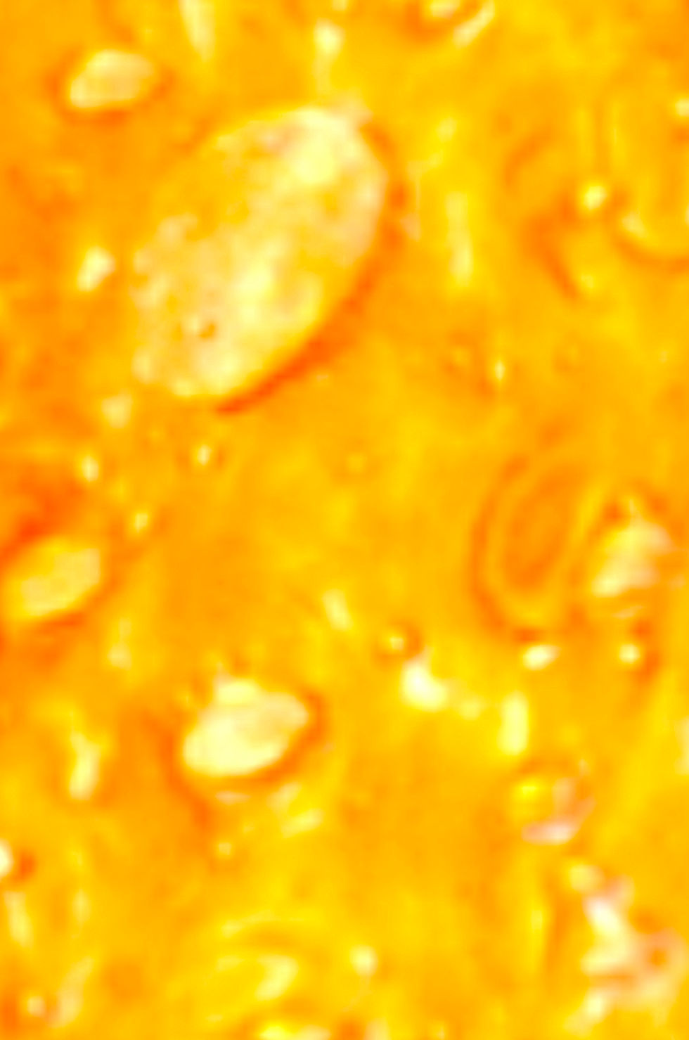 Miniature : BULLE