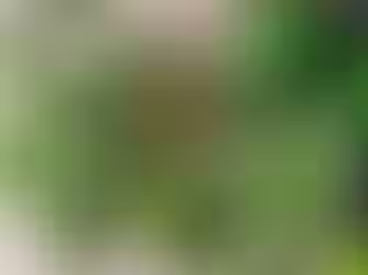 ZUCCHERI E INVECCHIAMENTO CEREBRALE: COME MANTENERE UN CERVELLO GIOVANE