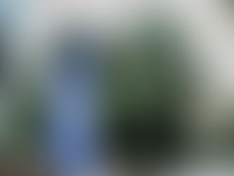 ISRAELE ESISTE DA MILLENNI