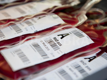 Operazione: “Salviamo Zohar Katz”