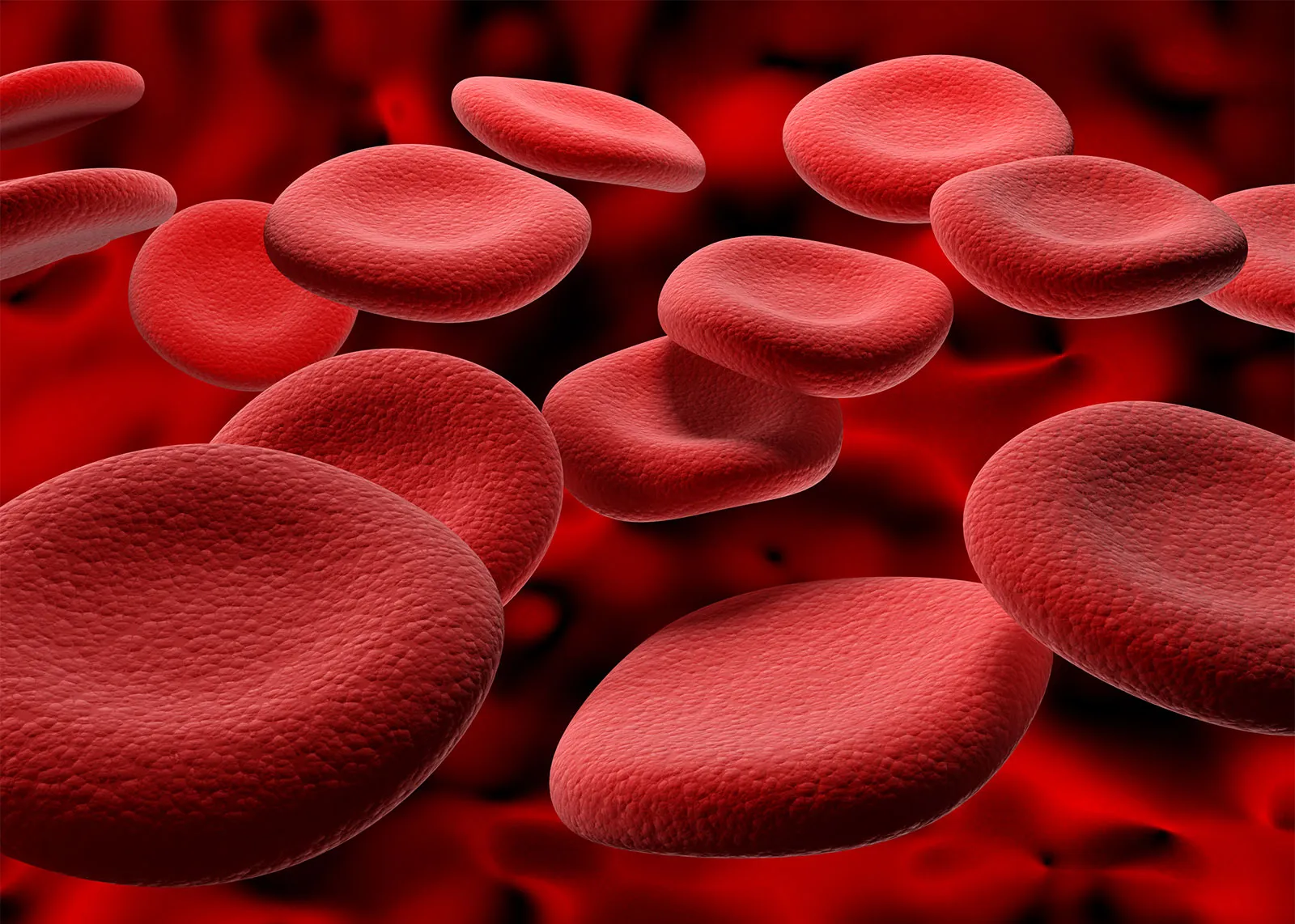 Human-red-blood-cells.jpg.webp