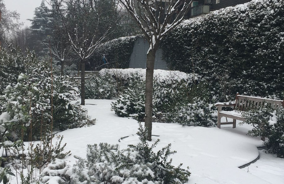 Healing garden  RSA Arzaga in inverno