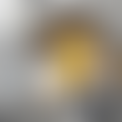 Dryer Power Pod Diamante Ylang Ylang