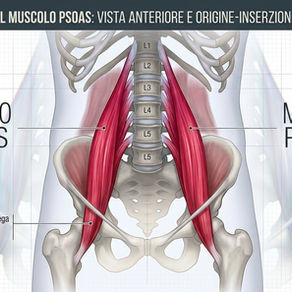 Psoas dolorante
