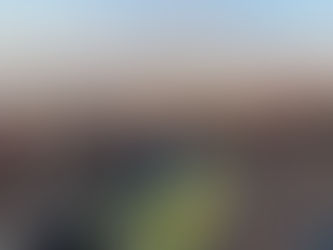 TIE A YELLOW RIBBON - TORINO PARTECIPA!