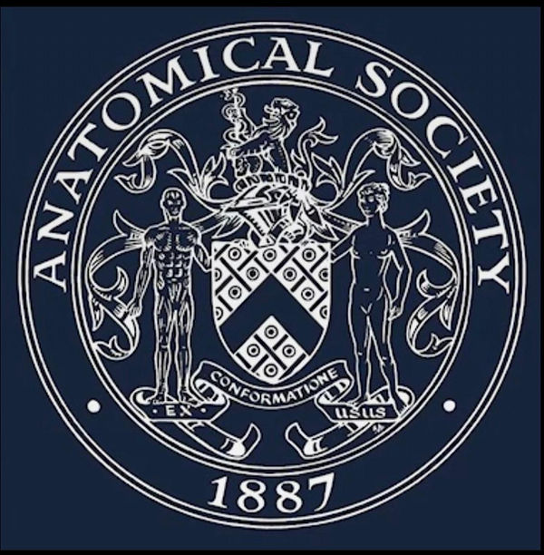 Emblema anatomical Society_edited.jpg