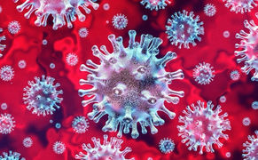 Aiutiamo il nostro sistema immunitario: call to action contro il Corona Virus!