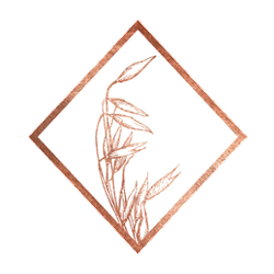 afbeelding 10 (13).png