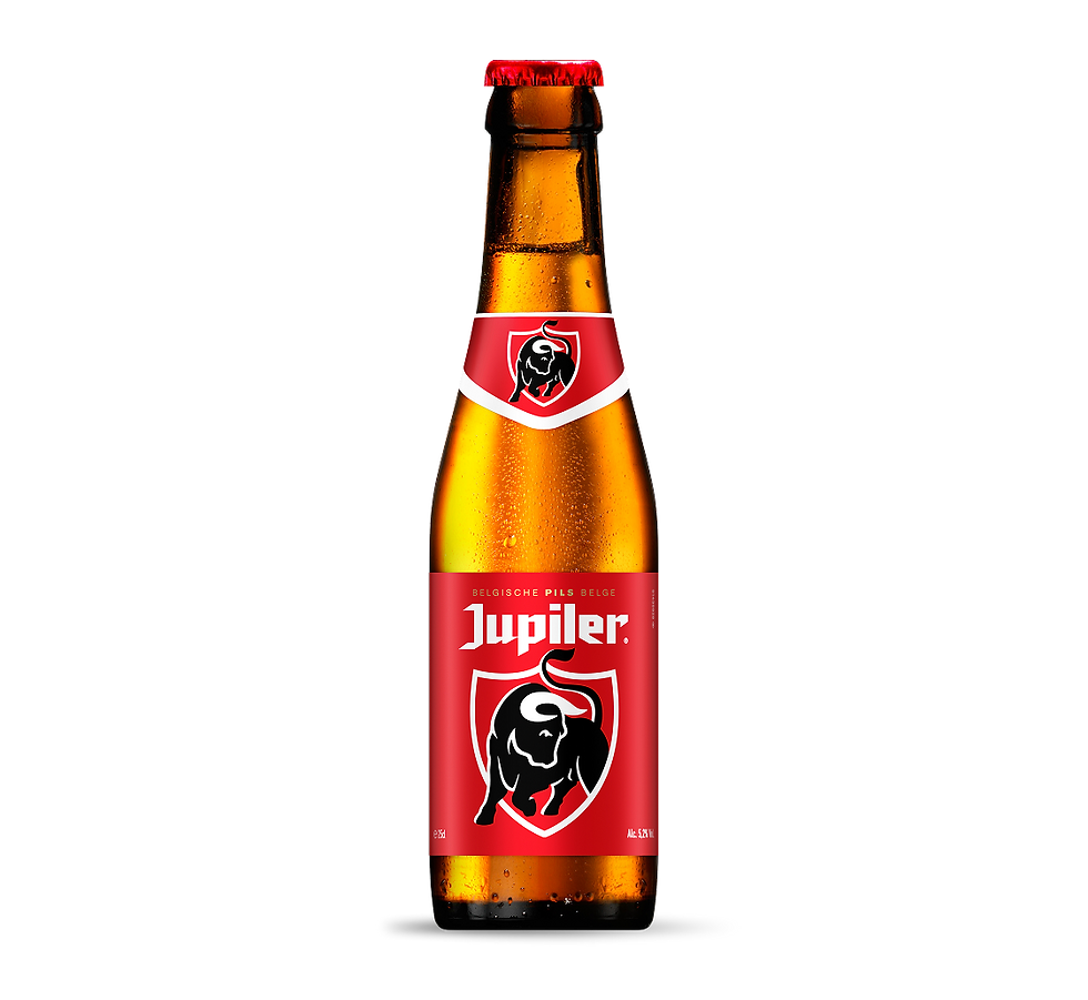 pic_stella.png