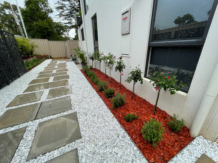 Rose Garden