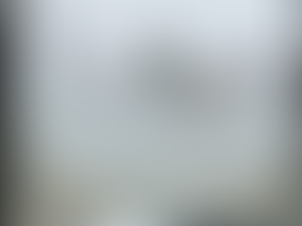 The "Foggy Window" Mystery: Can You Clean Between the Panes?