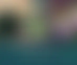 نظام الرياضة الجديد: هل هو فعلا فرص للنمو والاستثمار..؟!