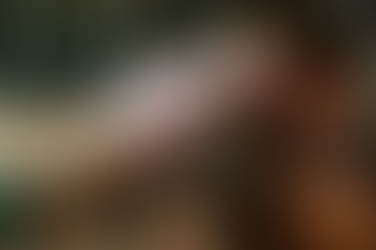 BNP Paribas señala ruptura con las peores prácticas de la ganadería industrial