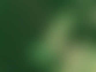 Grupos indígenas processam dona do Grupo Pão de Açúcar por desmatamento ligado à pecuária