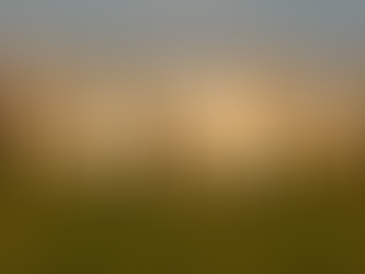 200 ONGs se opõem a financiamento público da Marfrig, gigante brasileira do setor de carne