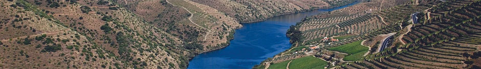 Entre Douro e Minho (1)