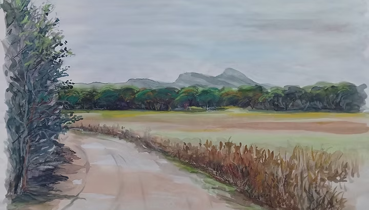 Galeria XETÚBALSITE