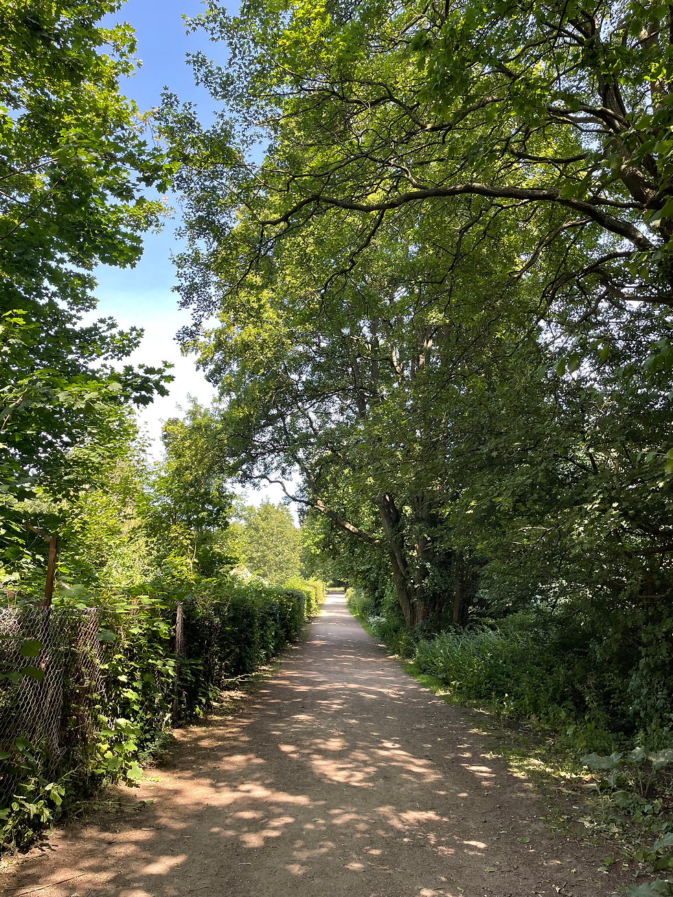 Grøndalsparken - perfect out of the ordinary running or walking route in Nordvest