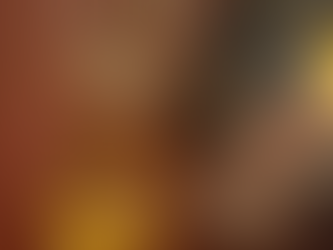 Kima: The Nordvest Spot I’ll Never Stop Recommending