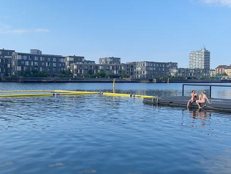 Swim, Chill, Repeat: The Best Summer Spots Near Nordvest