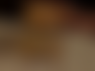 beer at gamma - beer tasting - fried chicken from ray's chicken