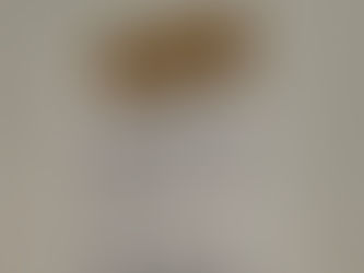 Melin Vin, our own wine importer in Nordvest, with their store Vin de Tabke