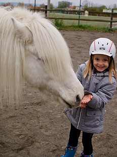 Soley Reitschule