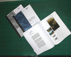 40619889_689632978057077_418274563741607