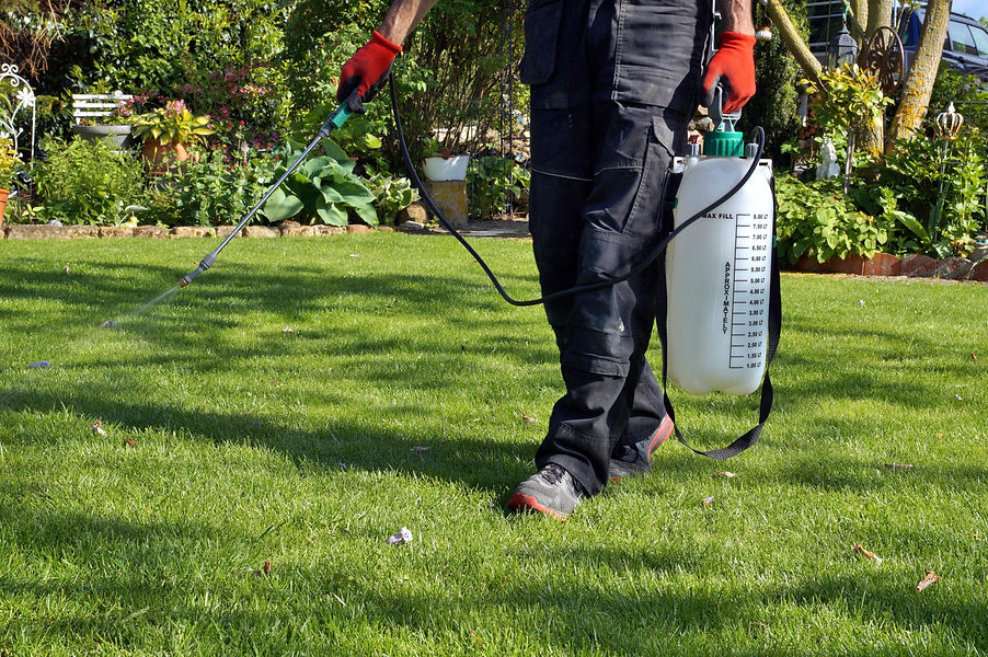 pre-emergent-weed-control-scaled.jpeg