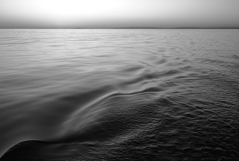 DSCF1109.jpg