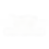 VES Transparent Logo (White).png