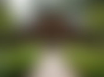 The Wild Fern Group: Redefining Portland Weddings