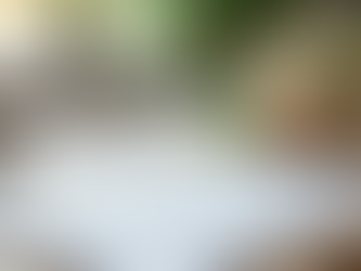 Effortless Wedding Planning in Portland Made Simple