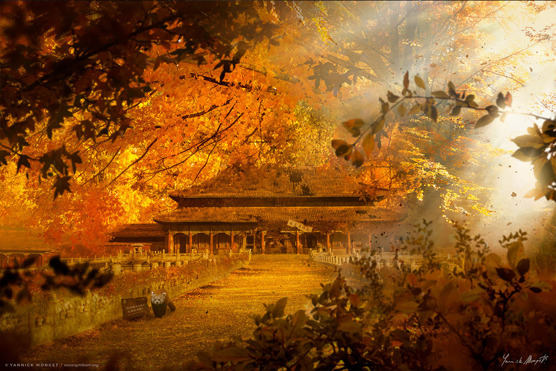 Œuvre / Pékin, Cité interdite "Automne"