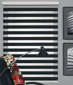 ZEBRA4
