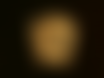 «Pagar por ver» Aplicación a la gerencia y a la vida cotidiana