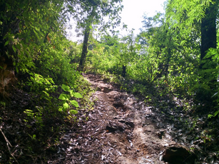Naturaleza, liderazgo, lecciones