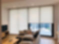 roller blind sheer.jpg