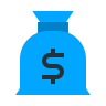 Rapid Value and ROI