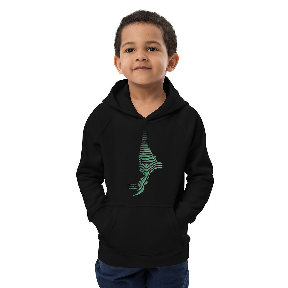 Thumbnail: Lebesgue Terraces - Integral Hill District- Mathemalchemy Kids eco hoodie