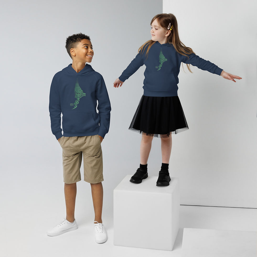 Thumbnail: Lebesgue Terraces - Integral Hill District- Mathemalchemy Kids eco hoodie