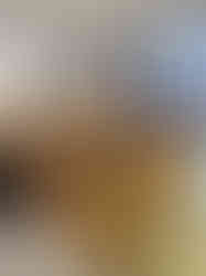 Destino Foundation Los Angeles