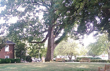 The Falls Church Episcopal