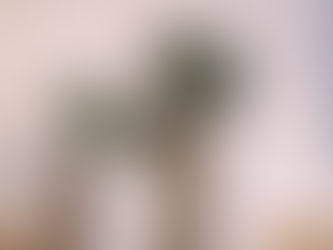 Ser diferente es ser normal