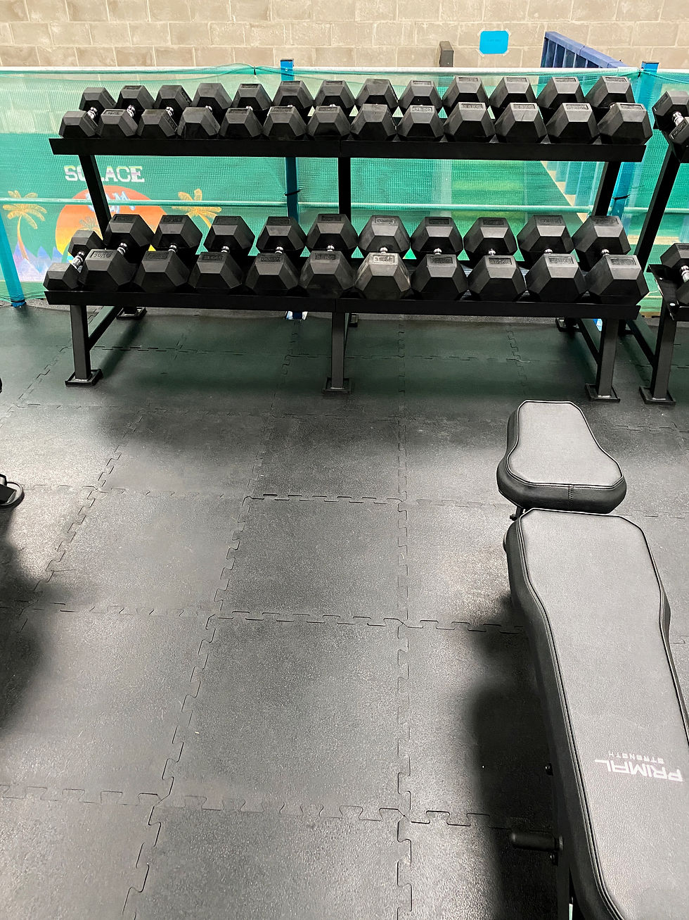 Weight Racks and Bench