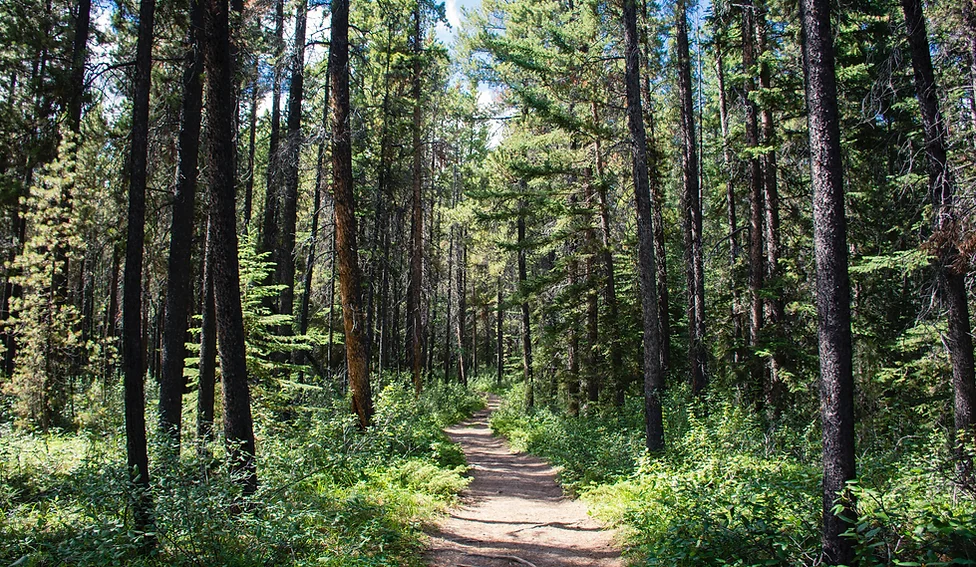 A Taste of Mindfulness